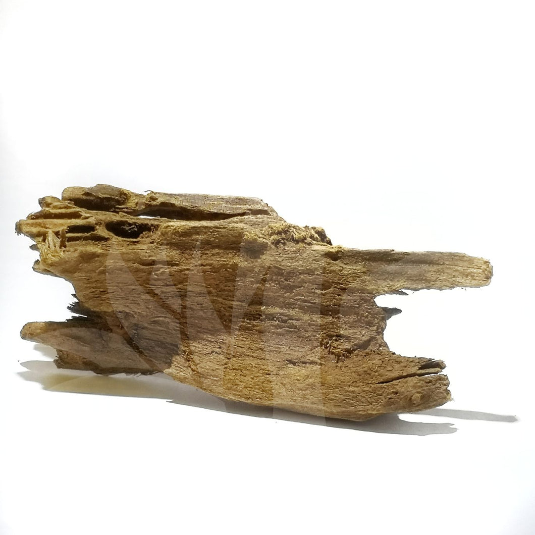 Small beautiful driftwood