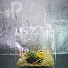 Christmas Airplant Tillandsia Decor